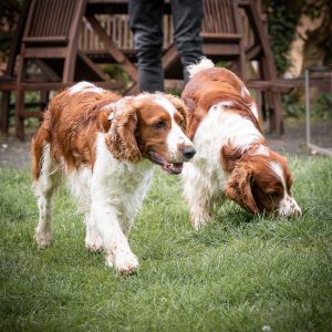 Dottie und Jaro
